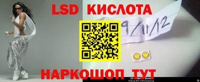 бошки Сланцы