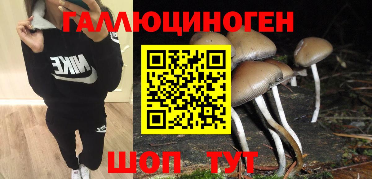 Псилоцибиновые грибы Psilocybine cubensis  Галлюциногенные грибы Magic Shrooms  Вход с VPN  Прокопьевск 