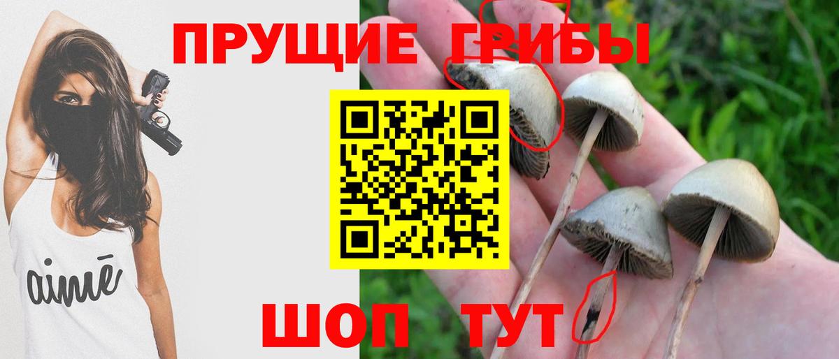 Псилоцибиновые грибы Magic Shrooms Прокопьевск